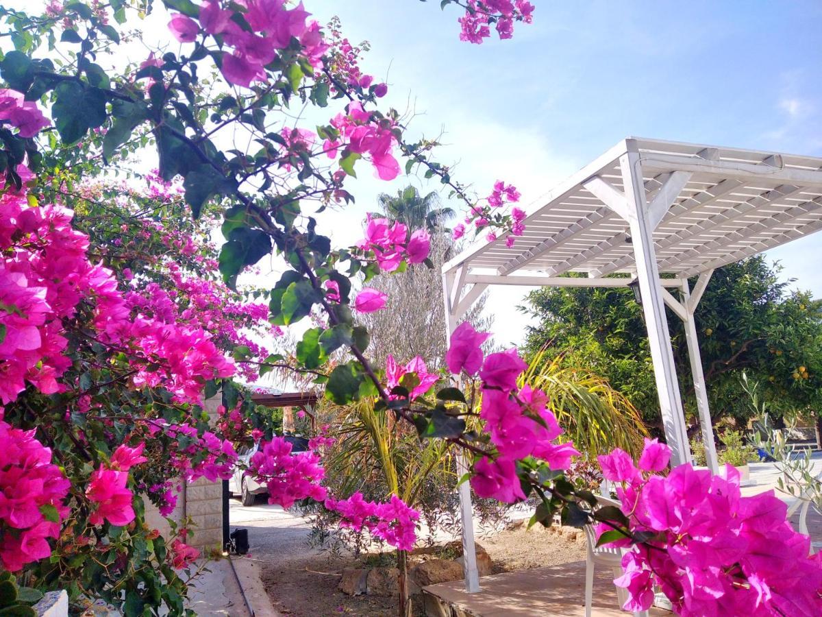 Finca El Aulagar Μάλαγα Εξωτερικό φωτογραφία
