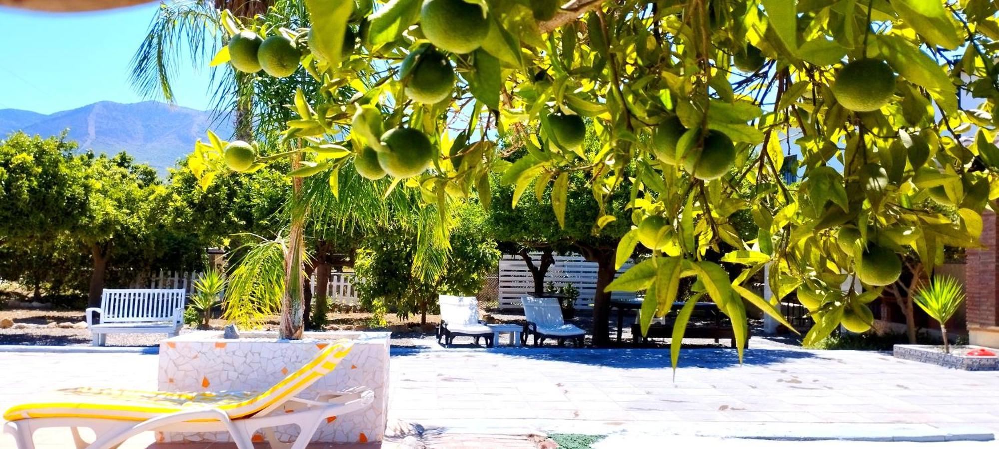 Finca El Aulagar Μάλαγα Εξωτερικό φωτογραφία